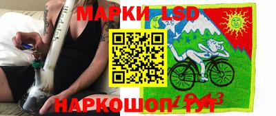 сатива Ставрополь