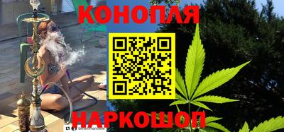 сатива Ставрополь