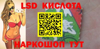 сатива Ставрополь
