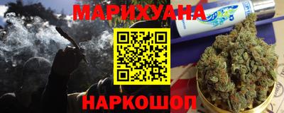 сатива Ставрополь