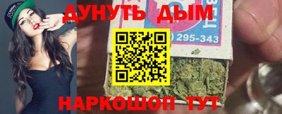 сатива Ставрополь