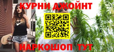 сатива Ставрополь