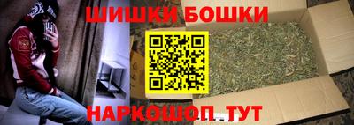 сатива Ставрополь