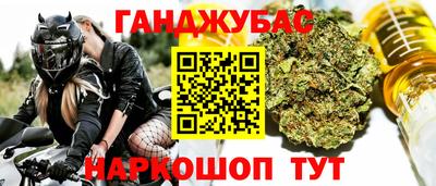 сатива Ставрополь