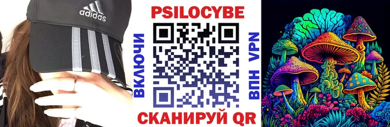 Галлюциногенные грибы Cubensis  нарко площадка формула  Тында 