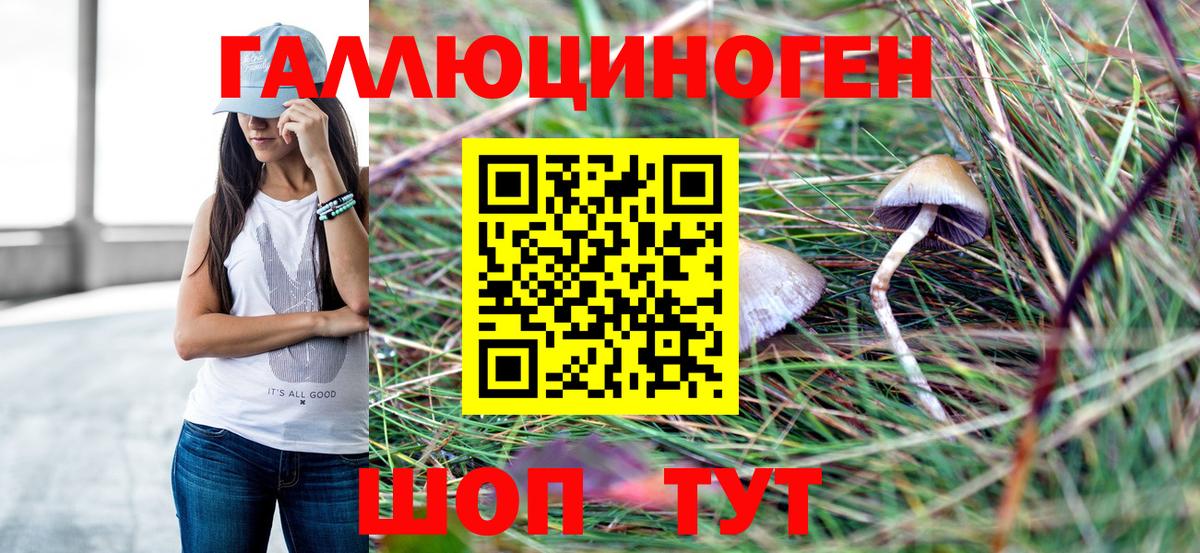 Галлюциногенные грибы Psilocybine cubensis Тында