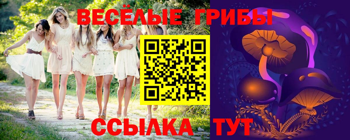 Галлюциногенные грибы мухоморы  Вход с VPN  Тында 